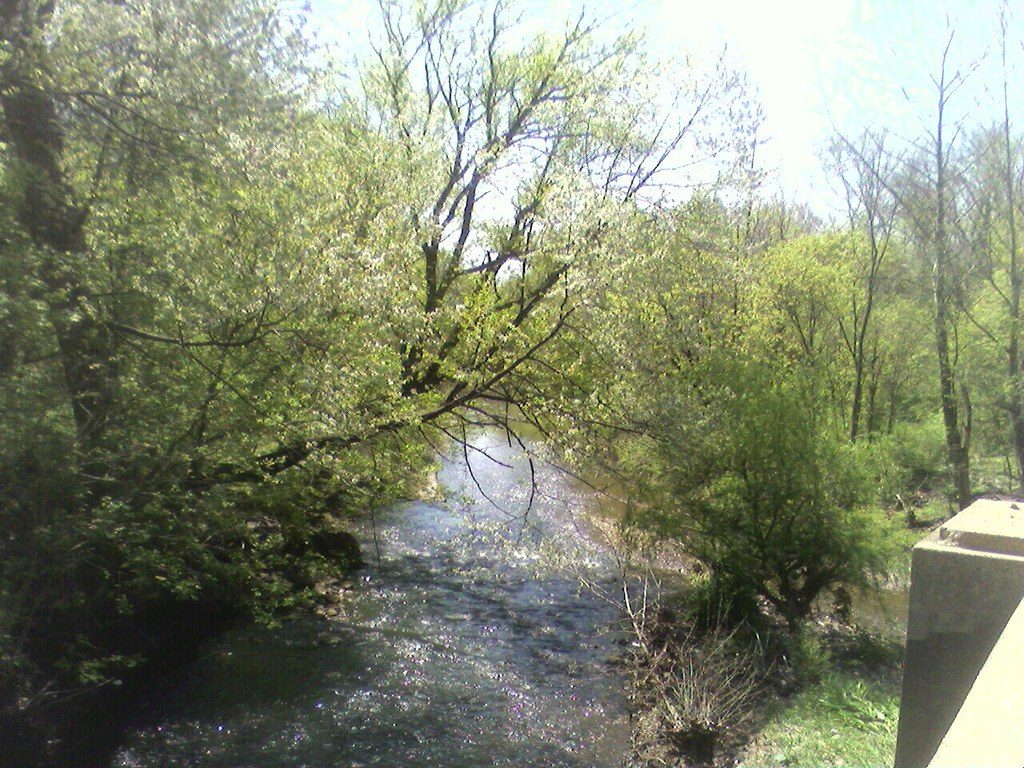 View From Bridge 83
