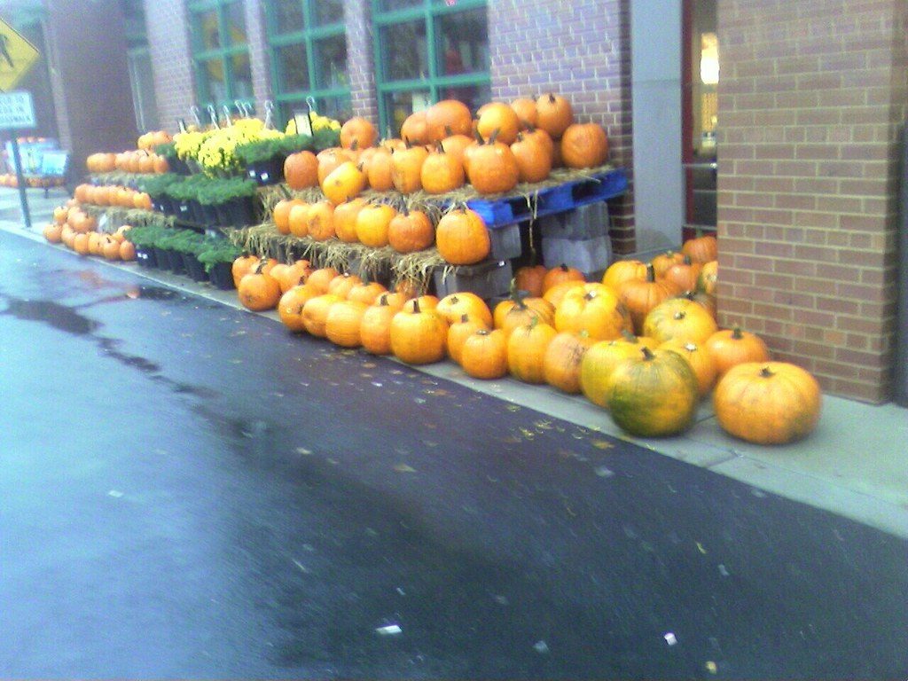 big Pumpkin