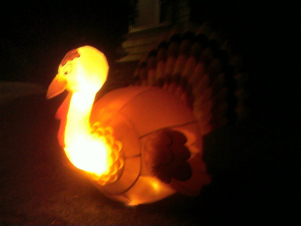 Wild Turkey