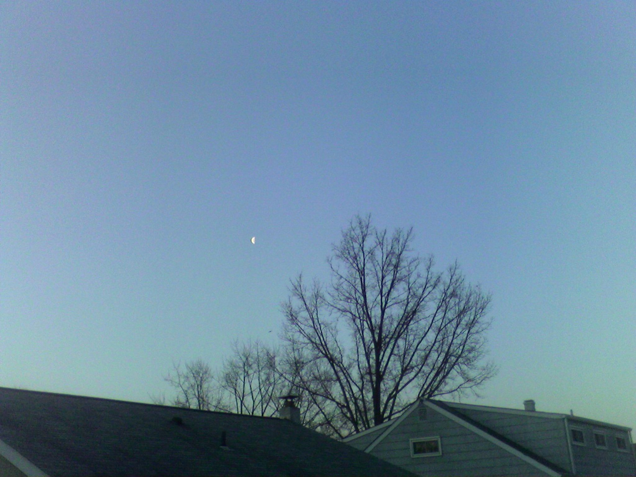 Good Mooning