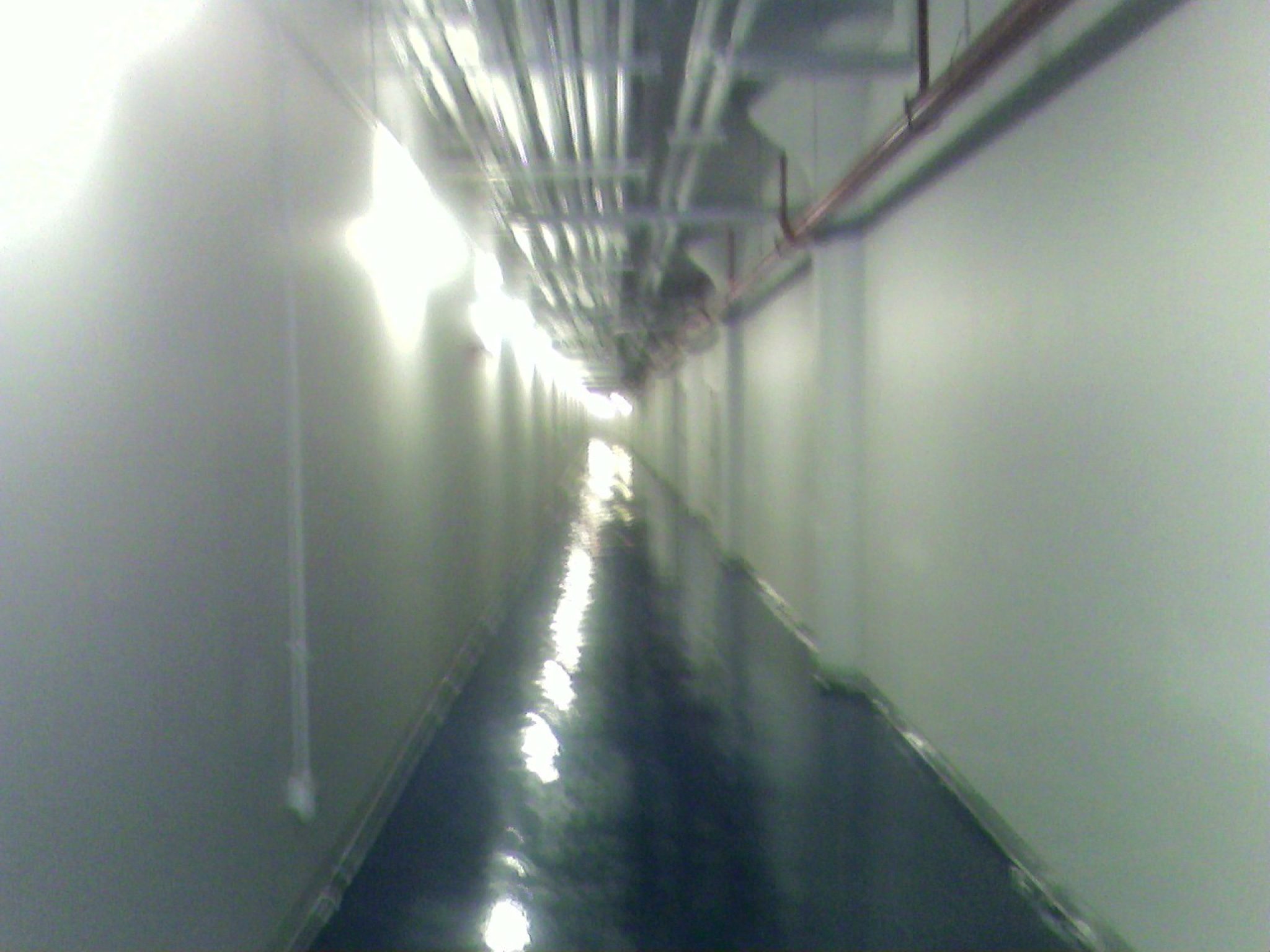 Hallowed Hall Of Communication