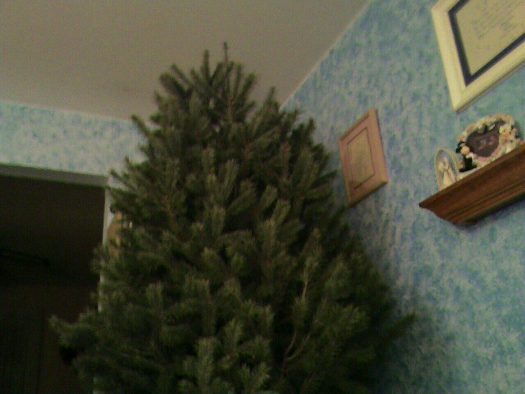 Oh Tannenbaum