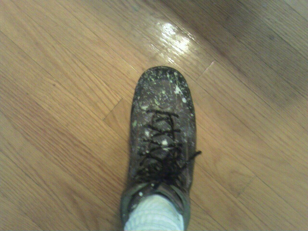 Yucky Shoes