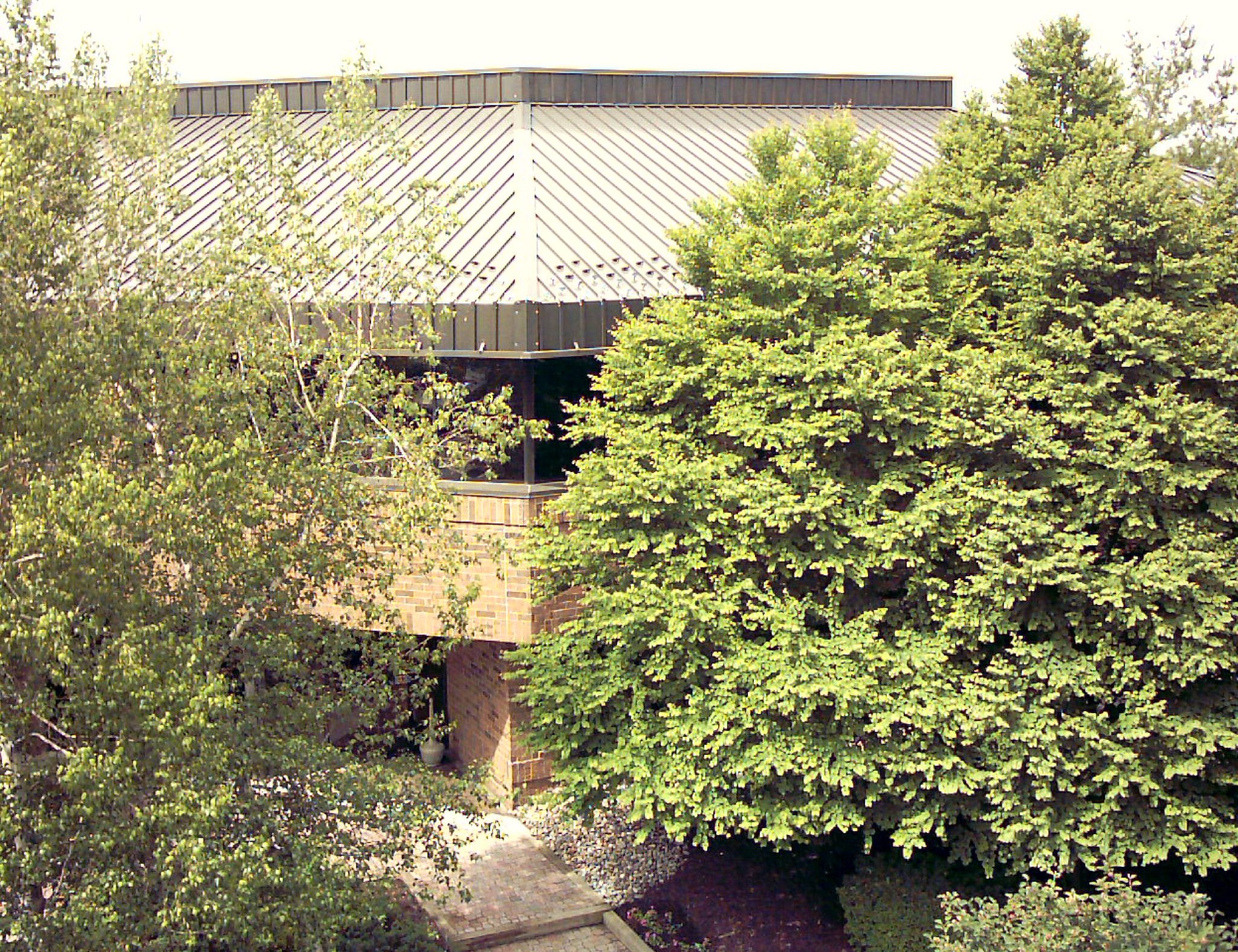 view from the office deck